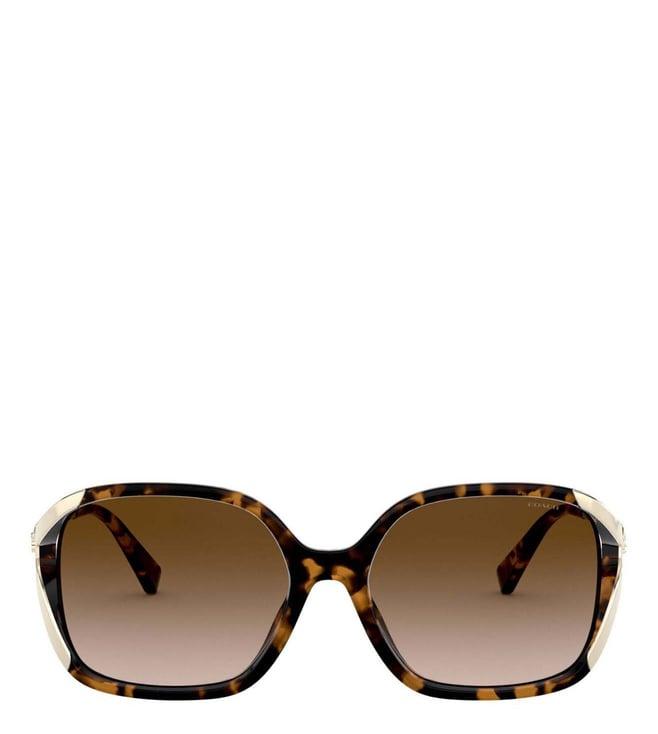 coach 0hc8280u51201357 brown gradient square sunglasses for women