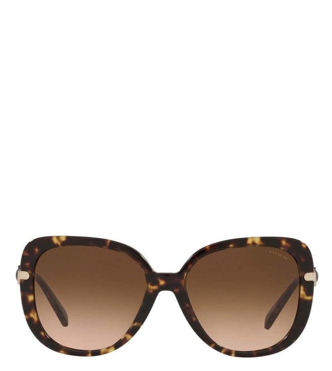 coach 0hc832051207455 gradient butterfly sunglasses for women