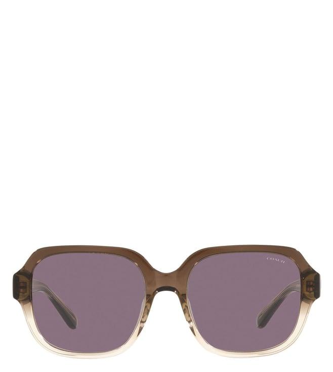 coach 0hc8335u56781a53 violet creative class uv protection square sunglasses for women