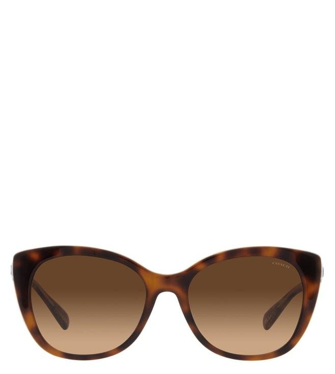 coach 0hc8365u57427455 brown uv protection cat eye sunglasses for women