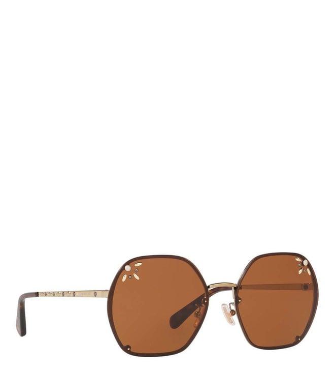 coach brown beveled sunglasses for women