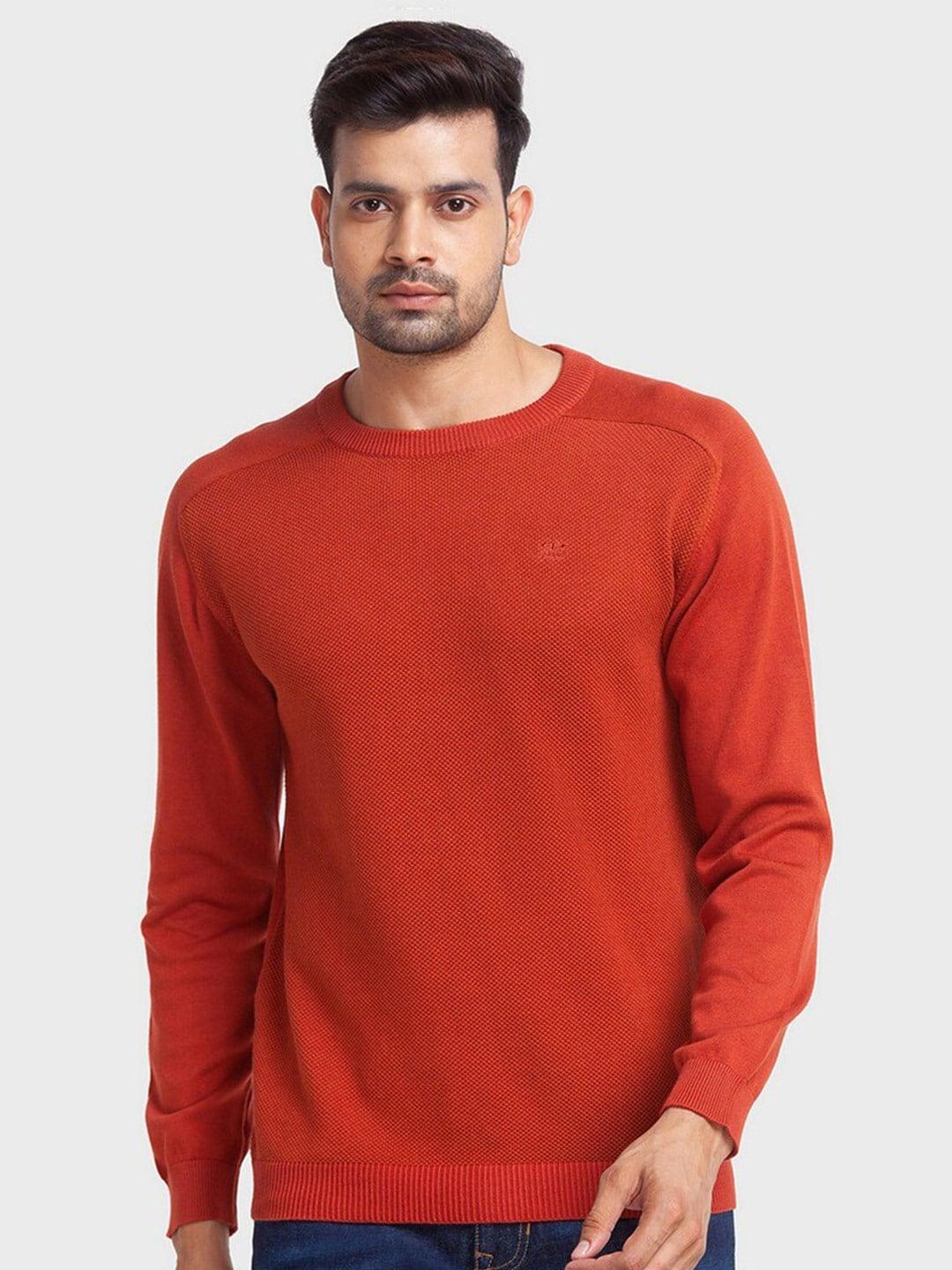 colorplus men round neck ribbed long sleeves cotton pullover