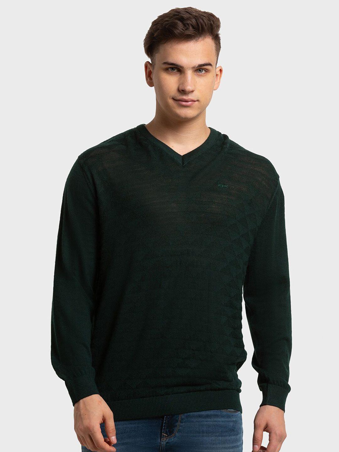 colorplus men self design v-neck pullover sweater