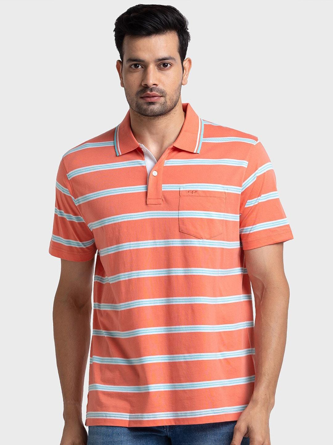 colorplus striped polo collar casual cotton t-shirt