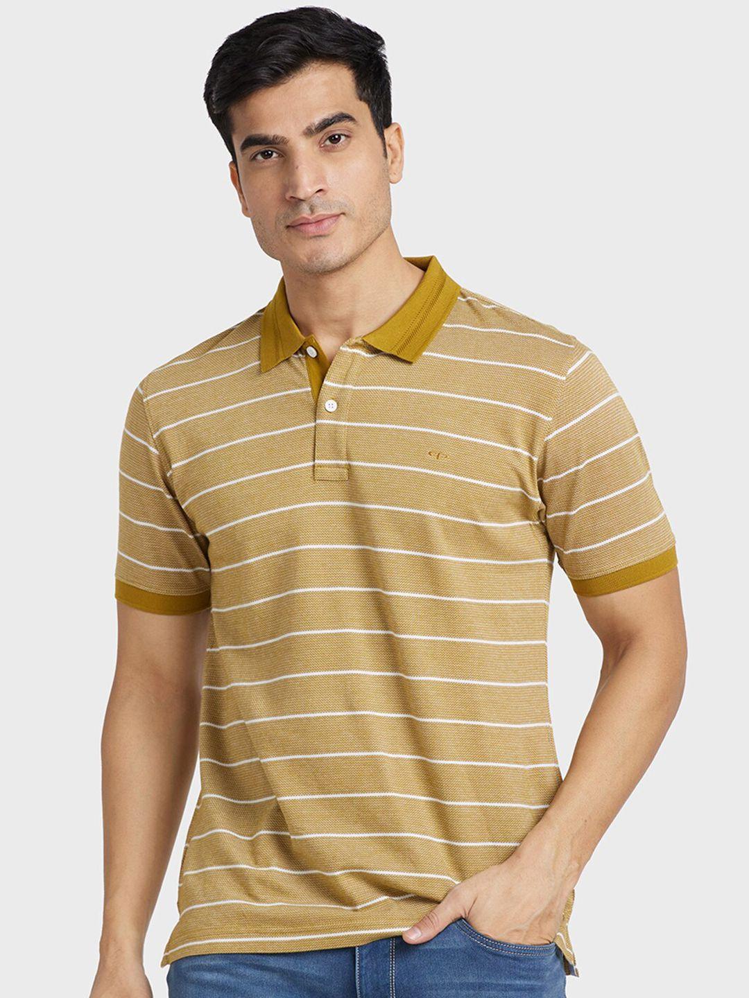 colorplus striped polo collar cotton t-shirt