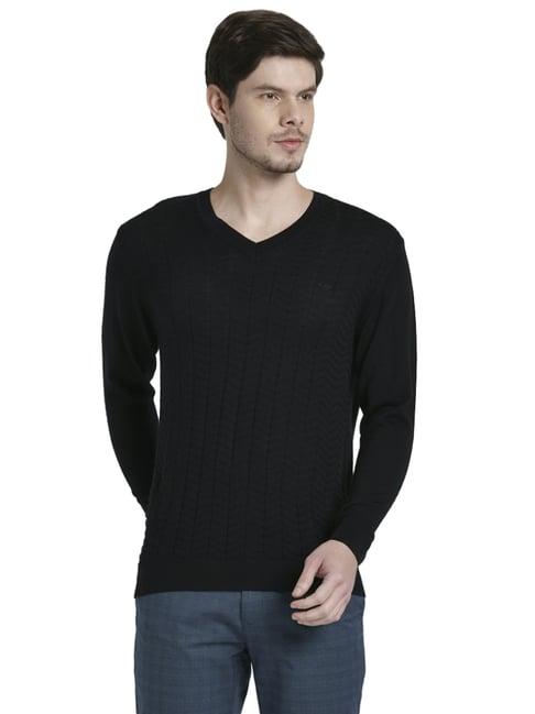 colorplus black  regular fit texture sweaters