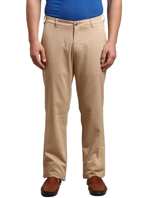 colorplus brown  regular fit trousers