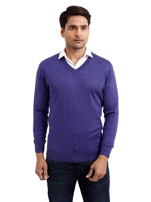 colorplus indigo blue regular fit v neck sweater