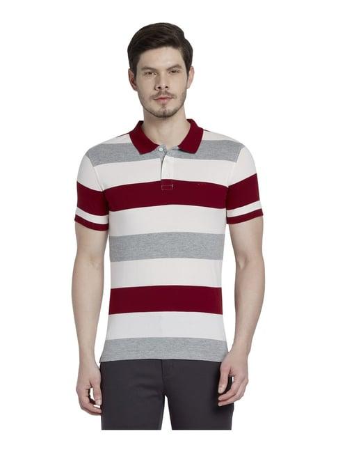 colorplus maroon & off white cotton slim fit striped polo t-shirt
