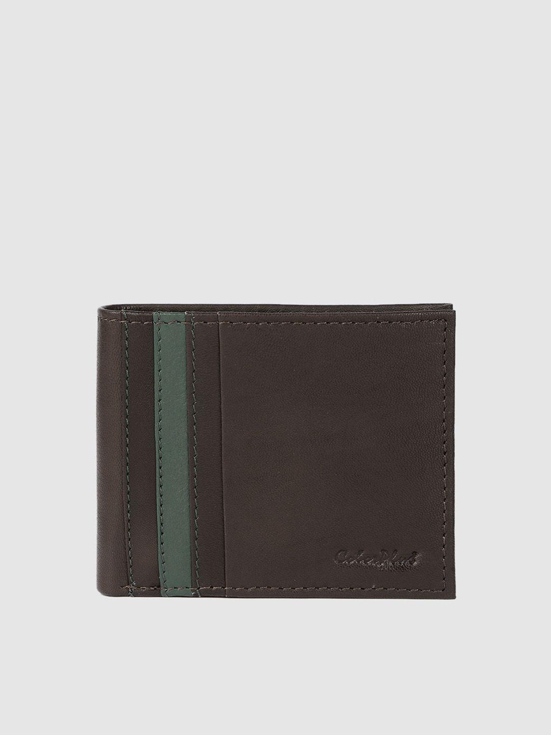 colorplus men brown solid two fold leather wallet