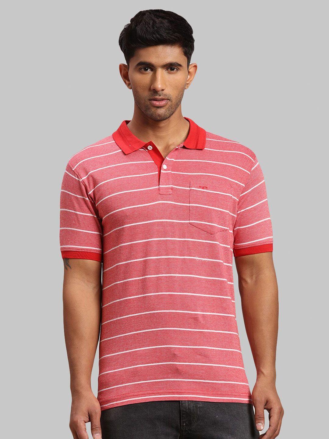 colorplus men striped polo collar cotton t-shirt