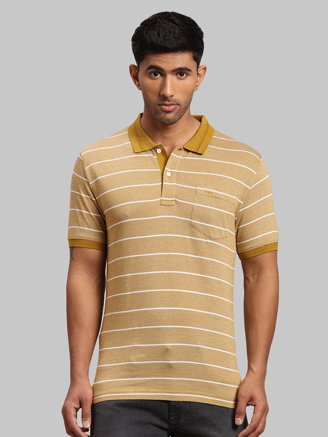 colorplus striped polo collar cotton t-shirt