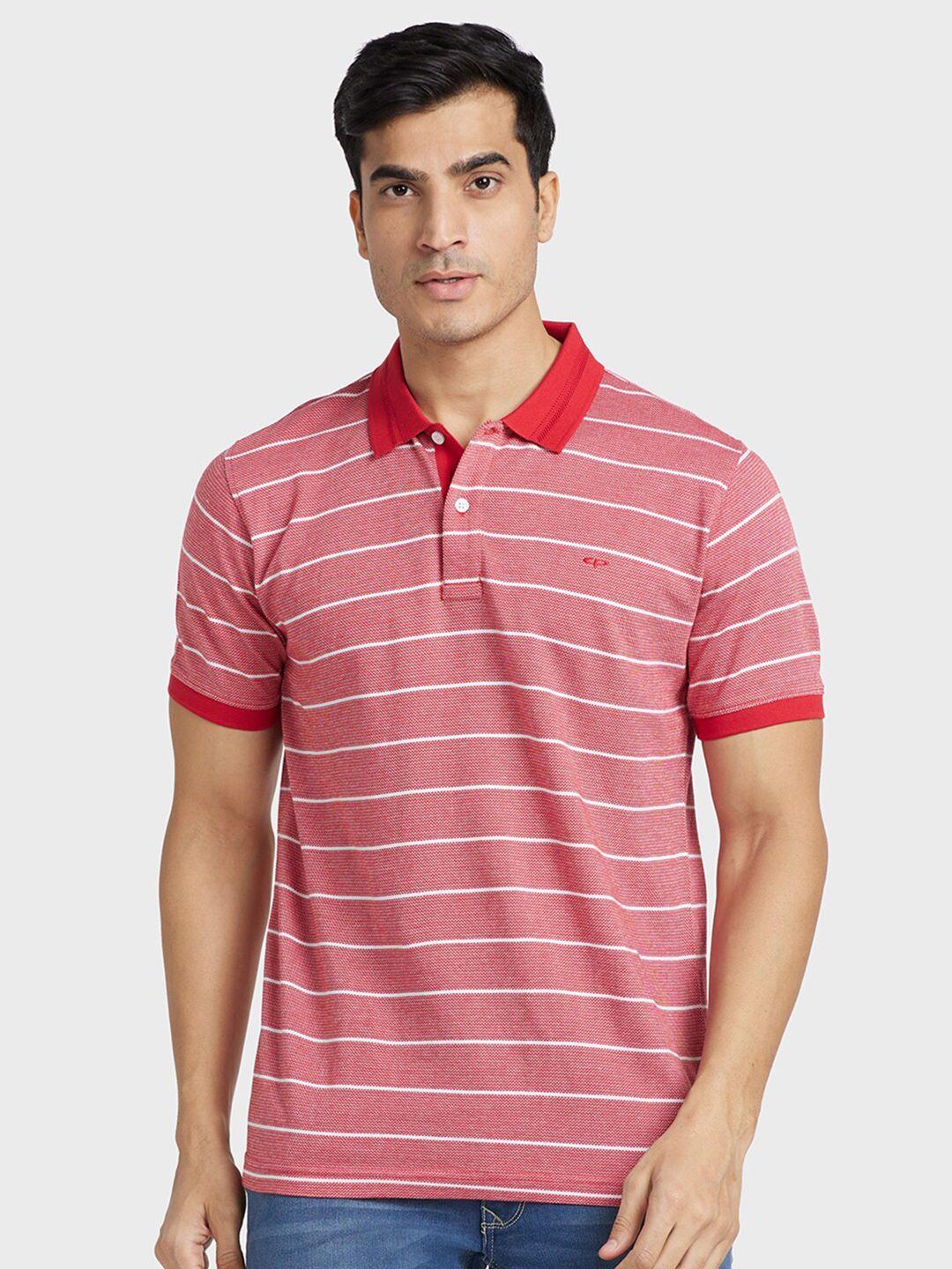 colorplus striped polo collar cotton t-shirt