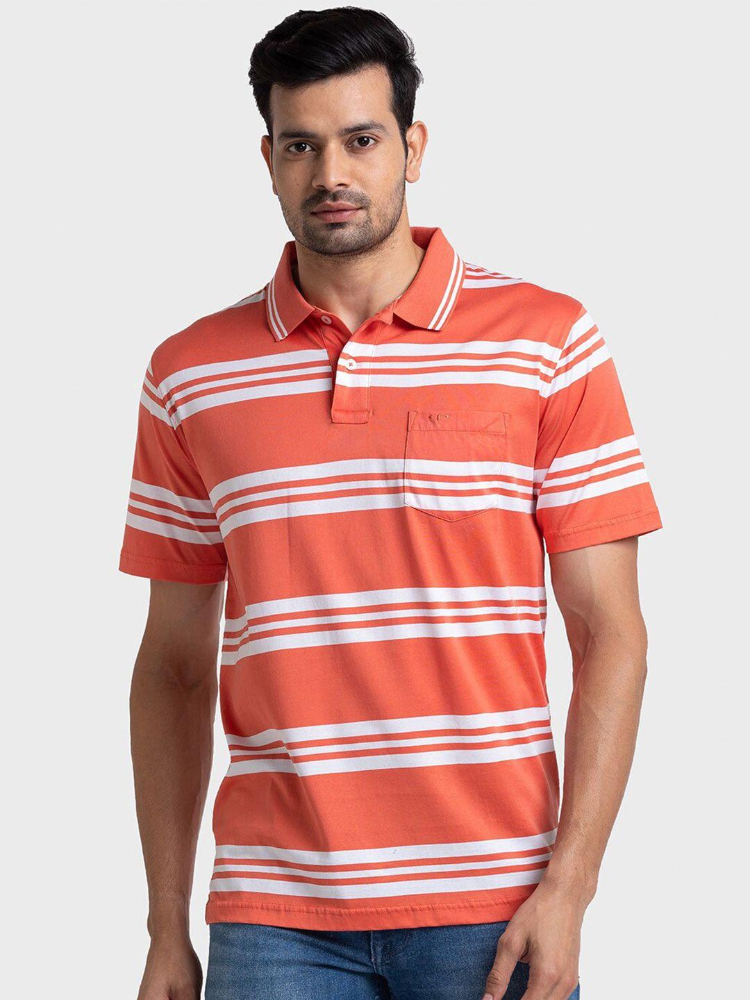 colorplus striped polo collar cotton t-shirt