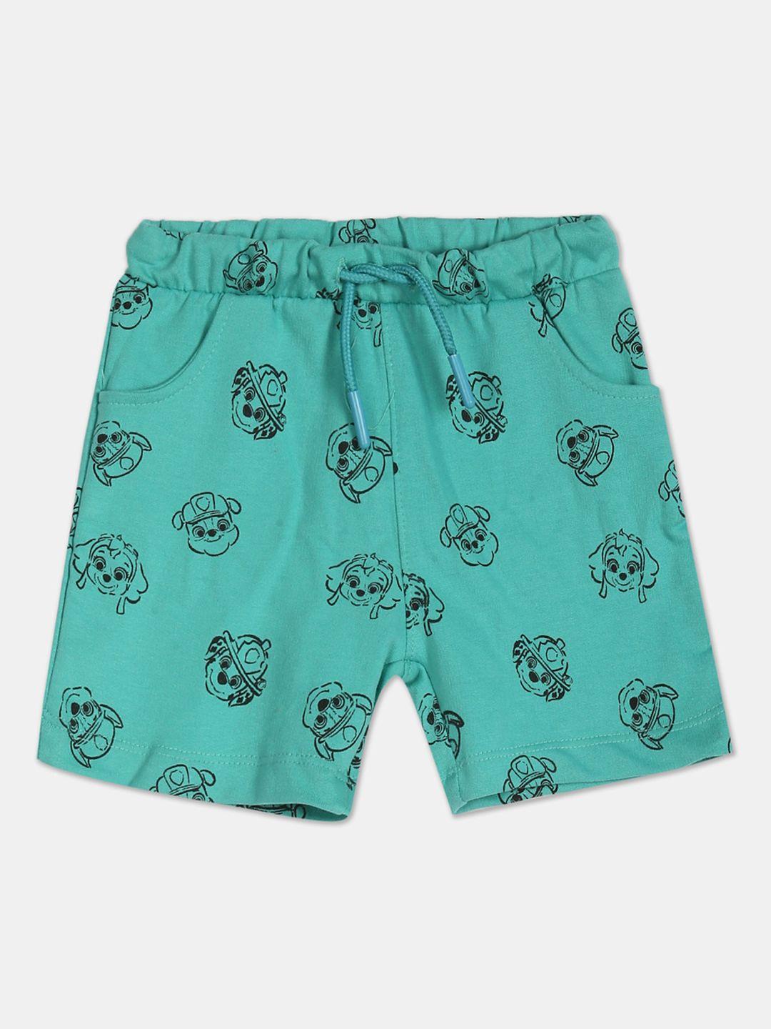 colt boys turquoise blue conversational printed regular shorts