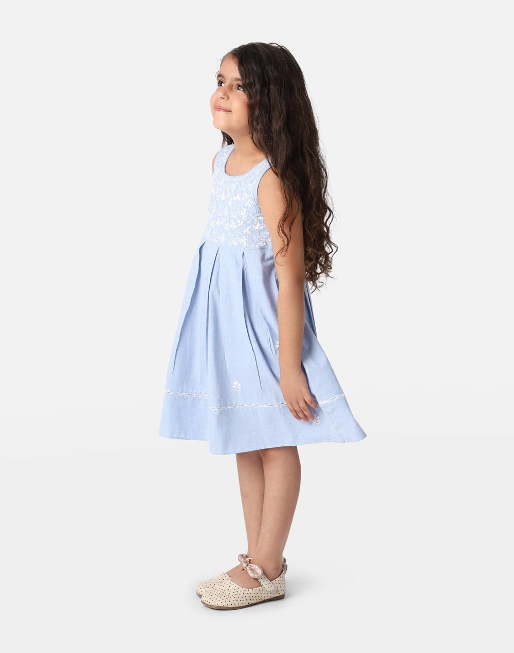 cotton chambray embroidered dress