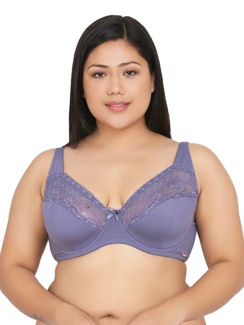 curvy love violet under-wired padded plunge bra