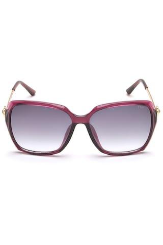 dark purple sunglasses