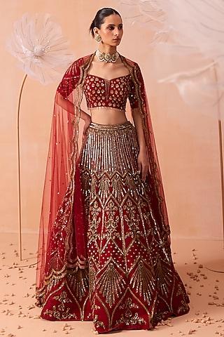 deep red mesh floral & geometric hand embroidered lehenga set