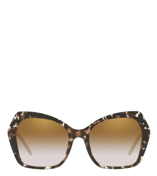 dolce & gabbana 0dg4399 dna uv protected butterfly sunglasses for women