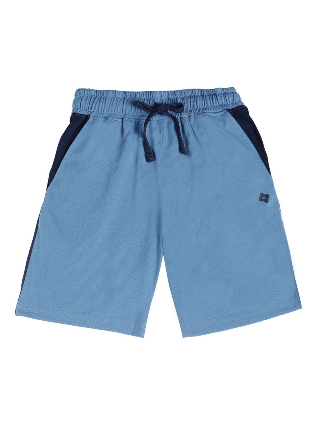 dollar boys blue colourblocked regular fit regular shorts