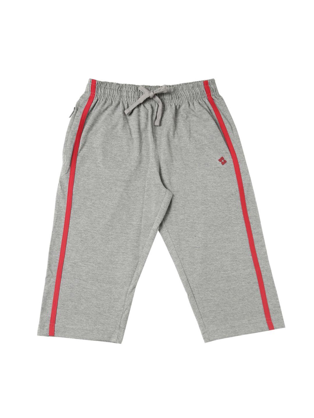 dollar boys grey solid regular fit regular shorts