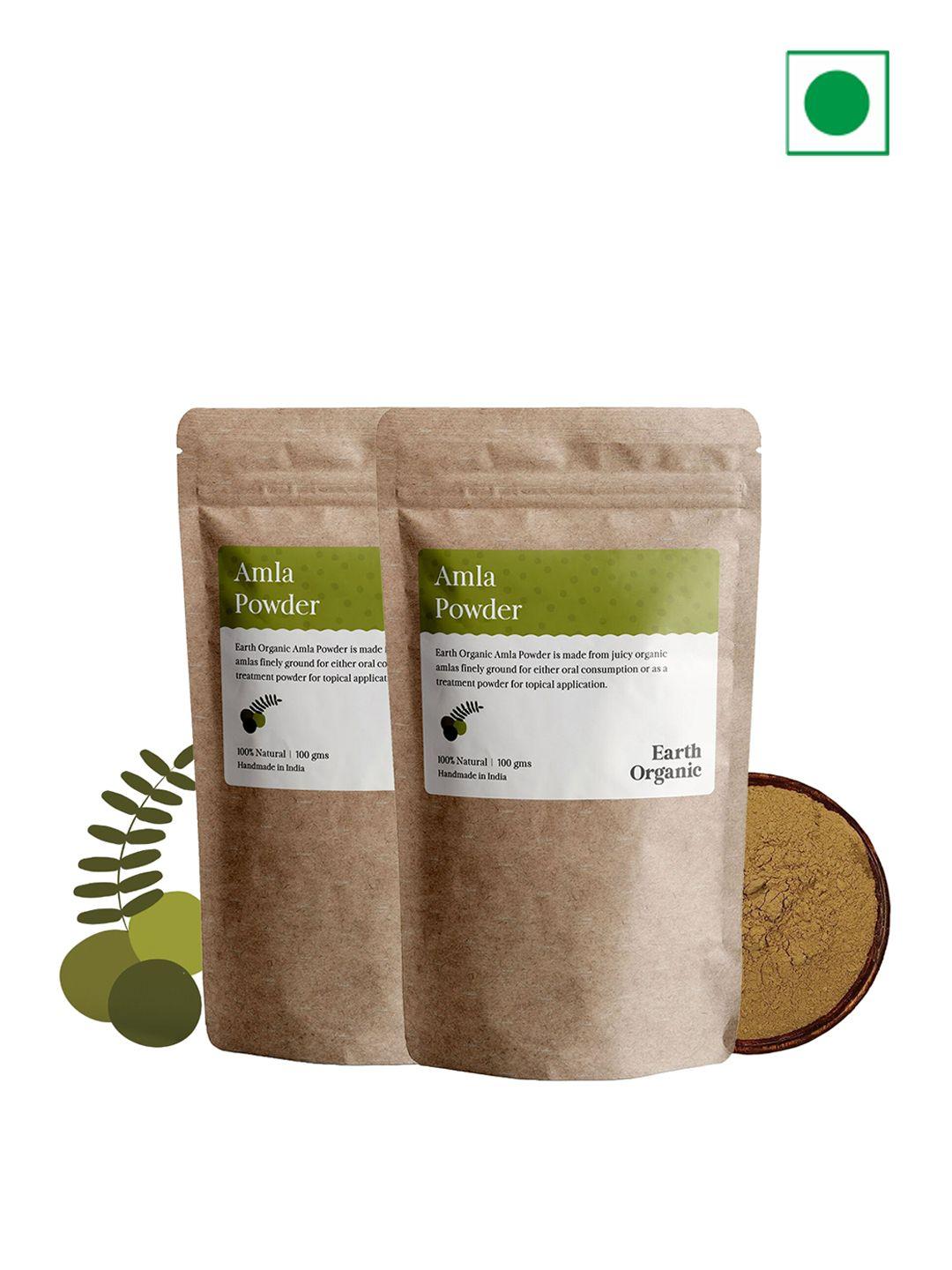 earth organic set of 2 natural & organic amla powder face & hair pack - 100 g each
