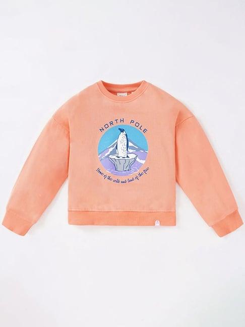 ed-a-mamma kids orange cotton printed full sleeves sweatshirt