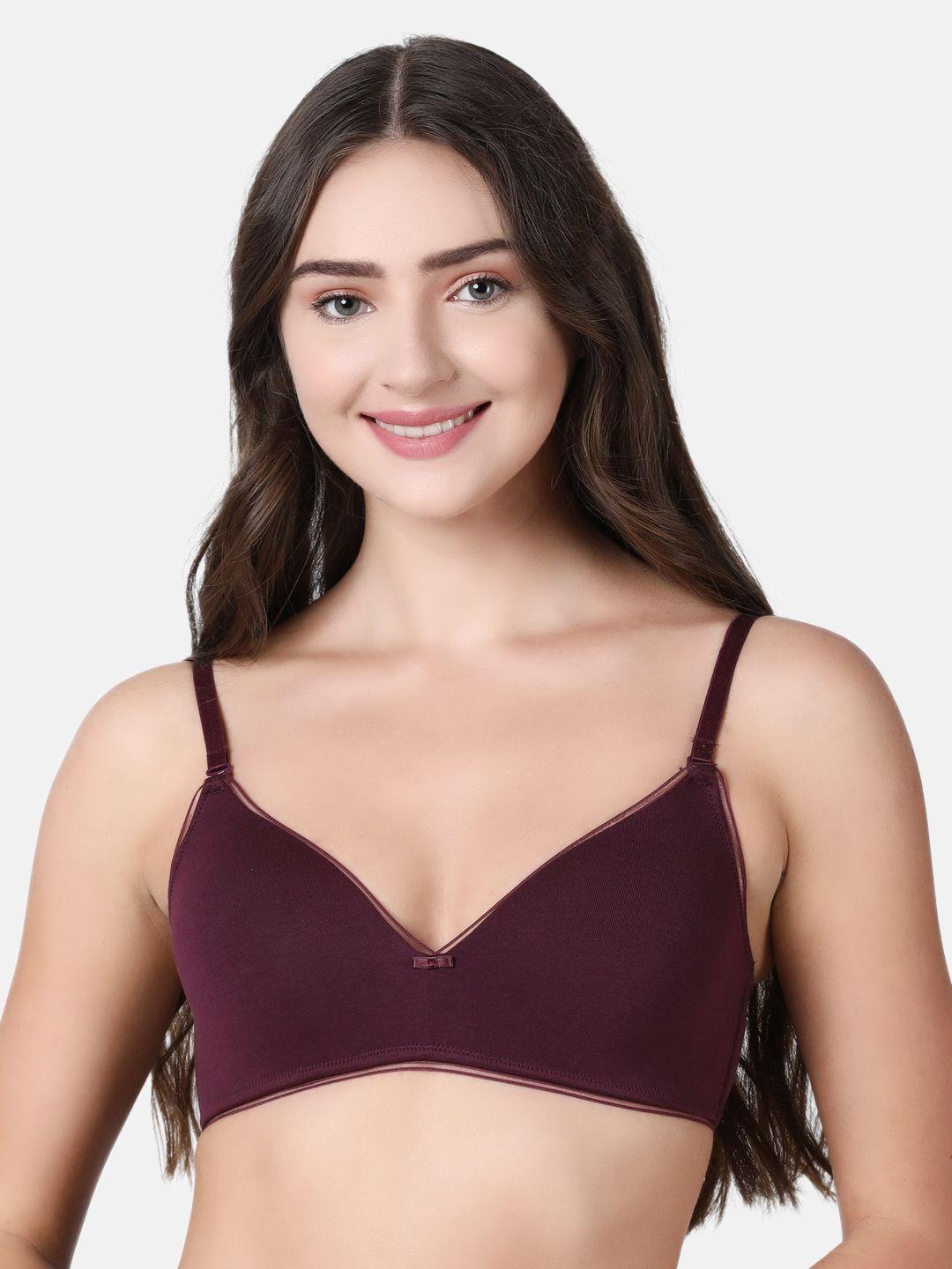 enamor brown solid non-wired lightly padded t-shirt bra a028