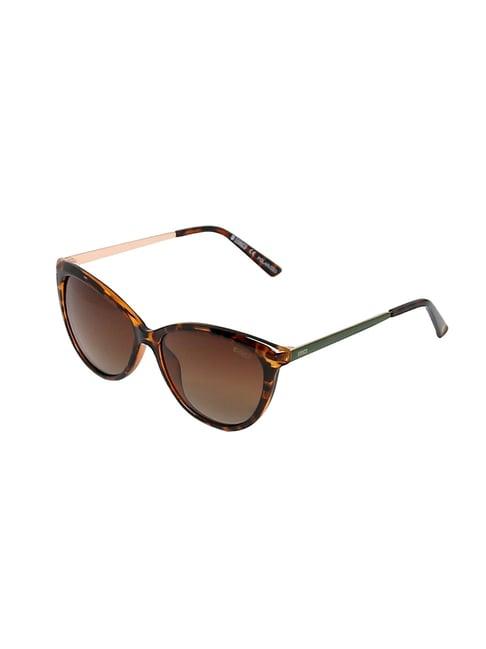 enrico eyewear brown cat eye sunglasses for women