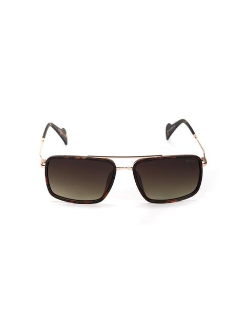 enrico eyewear brown ractangle sunglasses for men