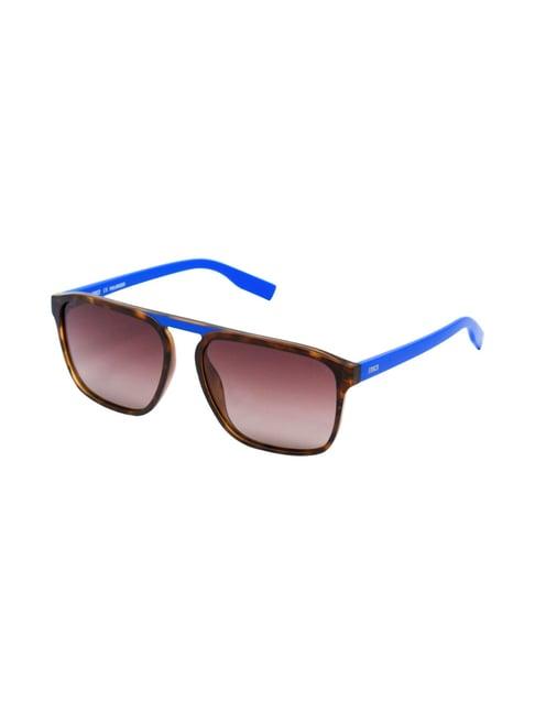 enrico eyewear brown wayfarer sunglasses for men