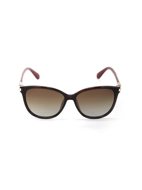 enrico eyewear brown wayfarer sunglasses for women
