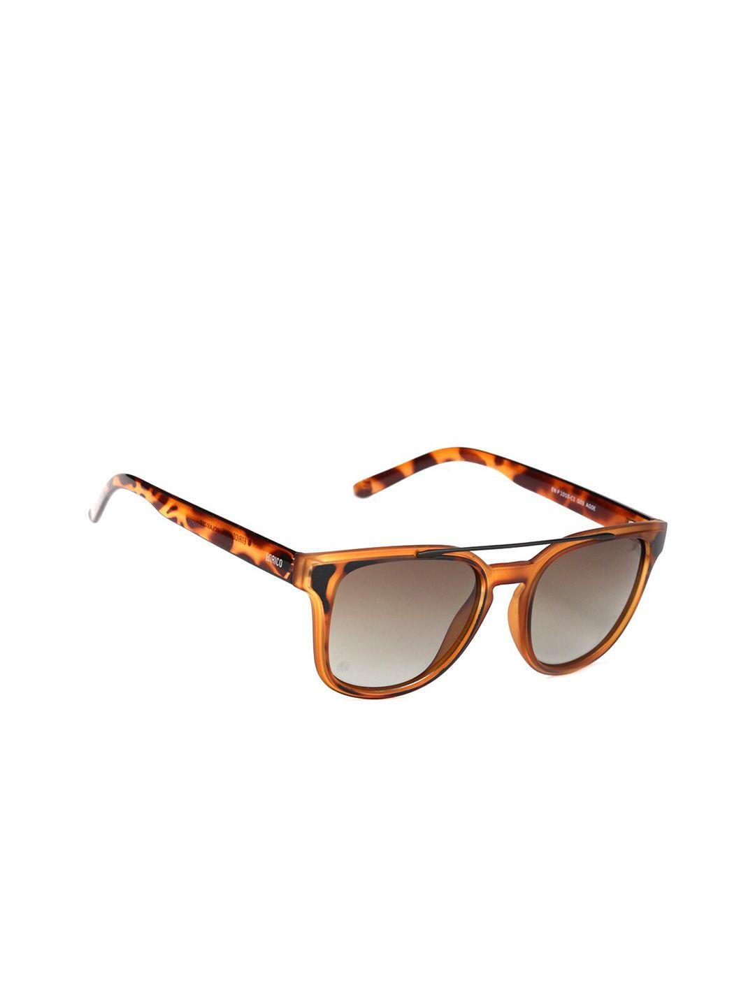 enrico men brown square sunglasses