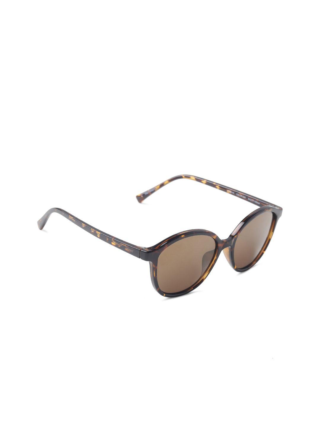 esprit women brown lens & brown round sunglasses with uv protected lens et39144-54-545