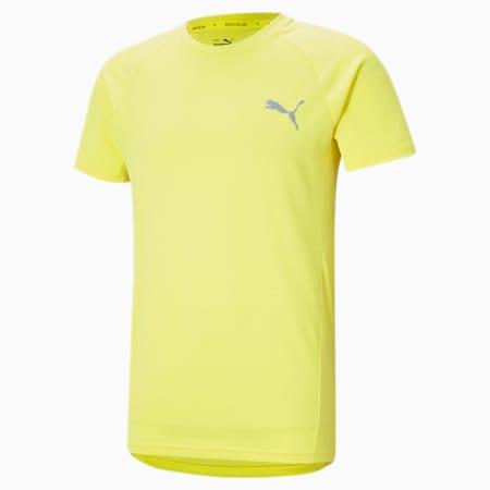 evostripe men's slim t-shirt