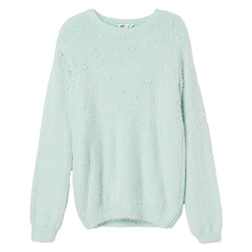 fame forever by lifestyle girls mint acrylic regular fit solid sweater_13-14y