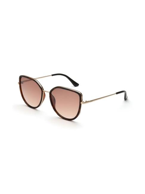 fila brown butterfly sunglasses for women