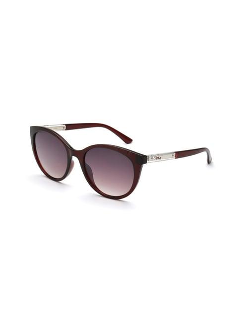 fila grey oval sunglasses for women