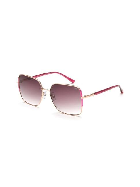 fila maroon butterfly sunglasses for women