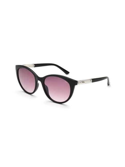 fila maroon oval sunglasses for women