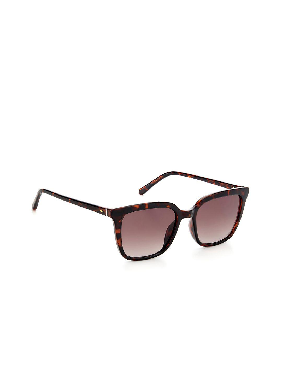 fossil women brown lens & brown full rim rectangle sunglasses