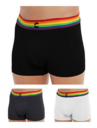 freecultr men's underwear anti bacterial micromodal airsoft trunk - non itch no chaffing sweat proof (pride waistband) size l pack of 3-pride cloud white,pride ash grey,pride pot black