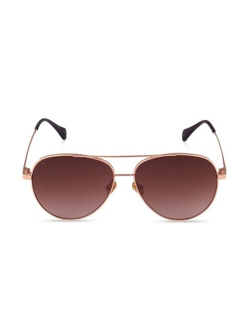 french connection fc7448 brown gradient aviator