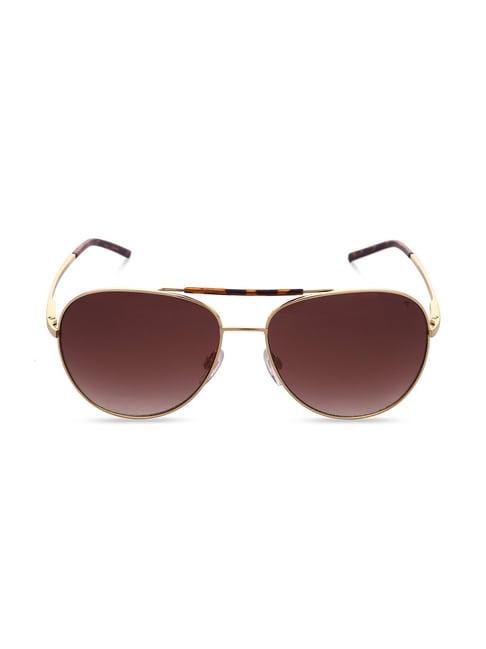 french connection fc7578 brown gradient aviator