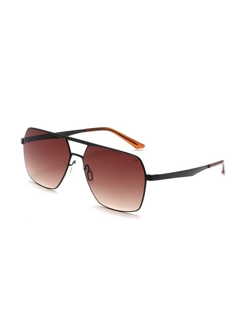 french connection fc7583 brown gradient square sunglasses