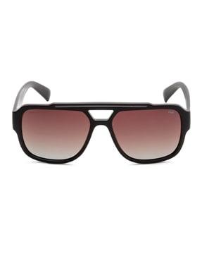 full-rim uv-protected oversized sunglasses- sfi818k57722psg