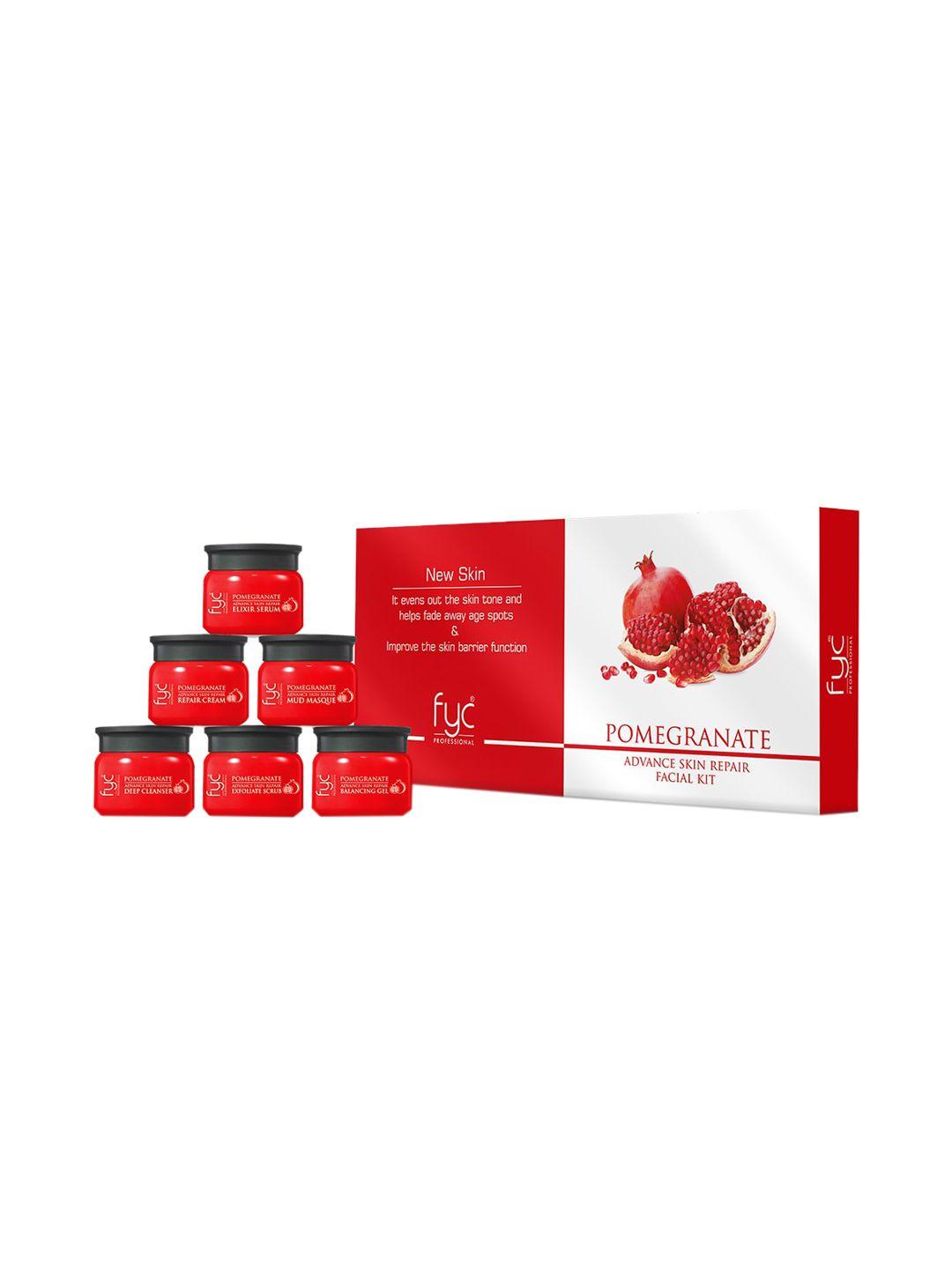 fyc professional pomegrante facial kit 300gm