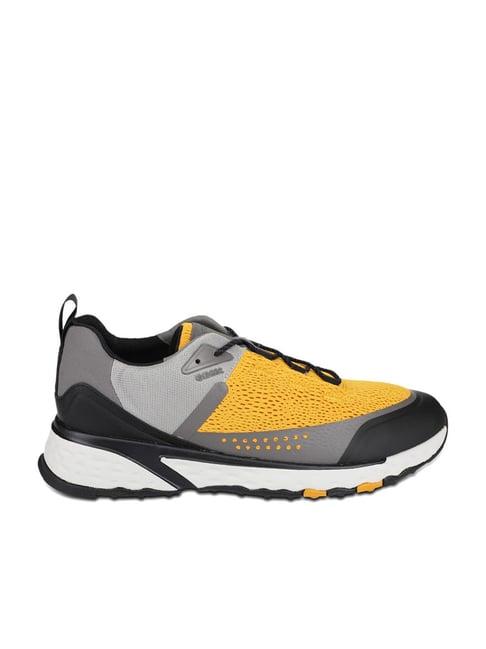 geox men's amber & grey casual sneakers