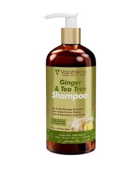 ginger & tea tree shampoo